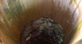 Pozo negro, cómo realizar un desatasco